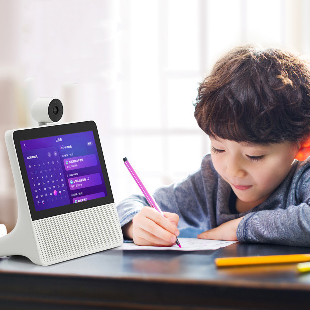 Factory Primary School 8 Inch  - огляд і ціна Kids Educational Online Free
